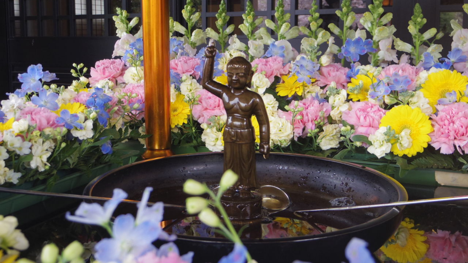 Hana Matsuri Espai Daruma