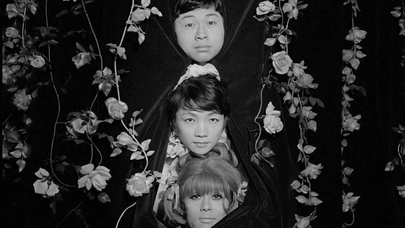 Funeral Parade of Roses