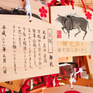 japonés pre-intermedio