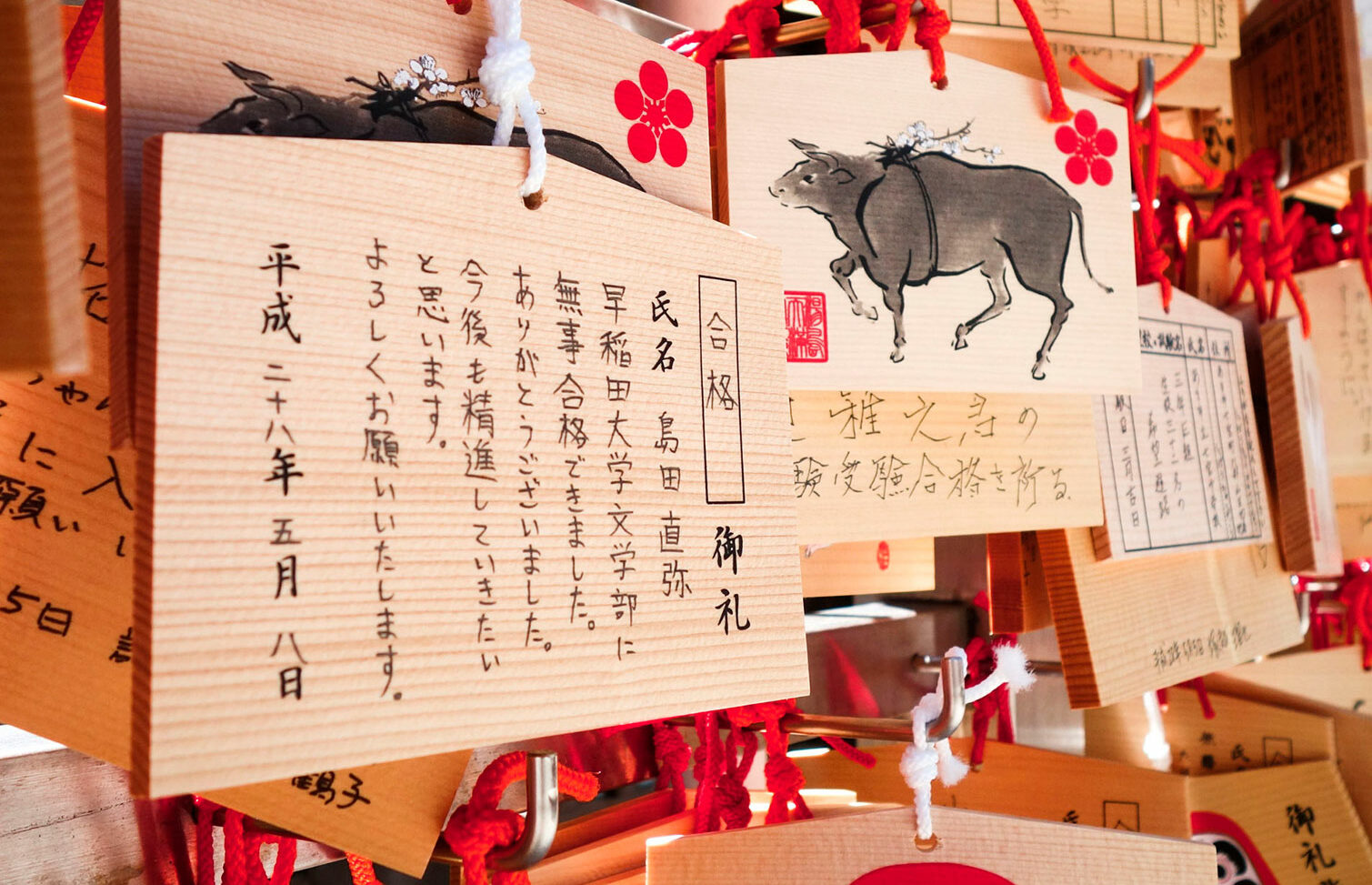 japonés pre-intermedio